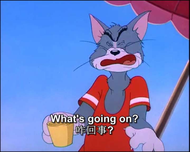 小学英语动画片 猫和老鼠系列 My pet 广州捷奏文化科技有限公司出品