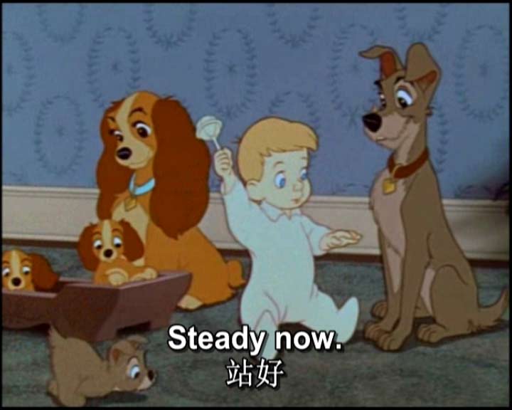 经典电影英语 小姐与流浪汉